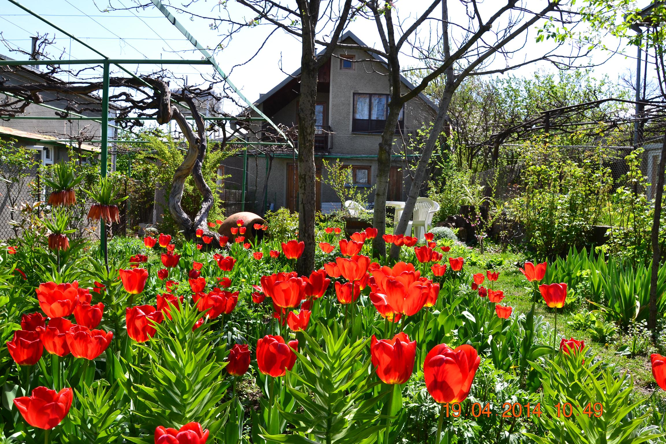 Milorava's Guest House